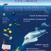 Kinderferienaktion 2011: Unter Wasser
